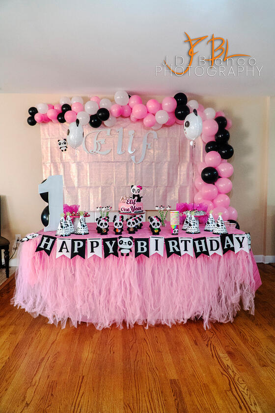 Elif's First Birthday