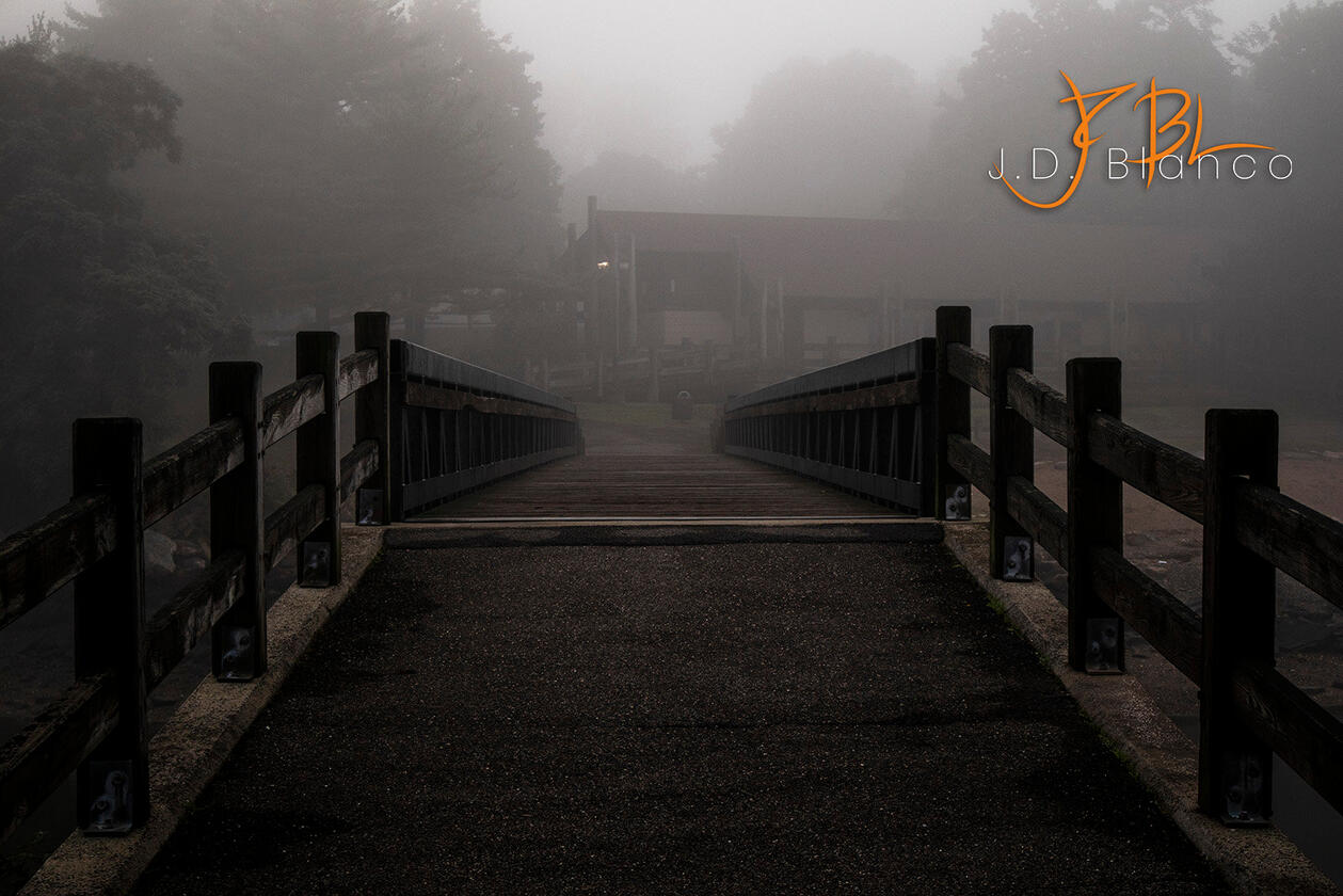 Fog Over Bridge